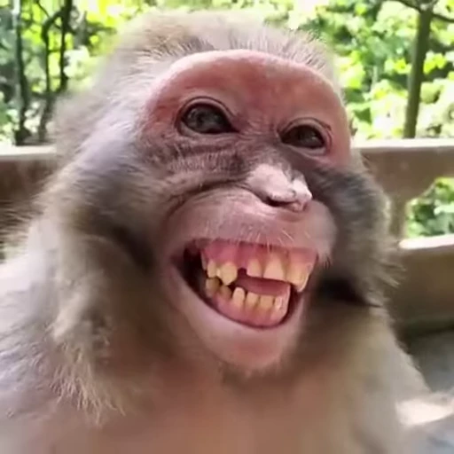 😄 Стикер «МИКС ПАК» для Telegram