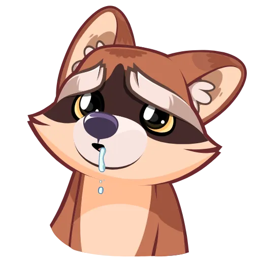 🤤 Стикер «Proha Raccoon» для Telegram