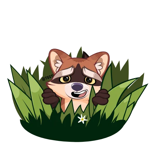 😶 Эмодзи «Проха енот» для Telegram