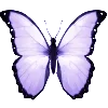 🦋 Эмодзи «Prplncks #emoji #color #purple» для Telegram