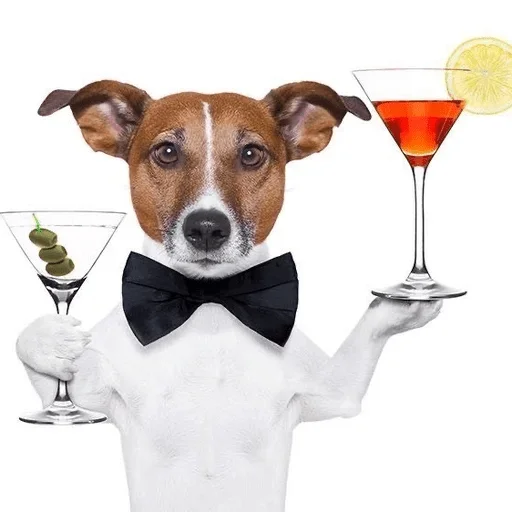 🍸 Стикер «Собаки Хуяки» для Telegram