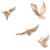 🕊 Эмодзи «Зверюшки» для Telegram