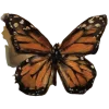 🦋 Эмодзи «Зверюшки» для Telegram