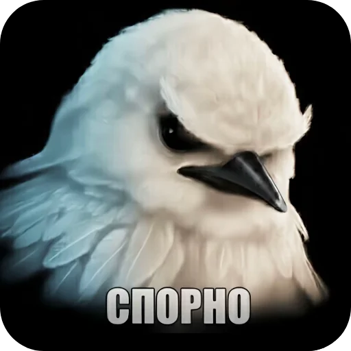 🐦 Стикер «птички (lerixxqwz)» для Telegram