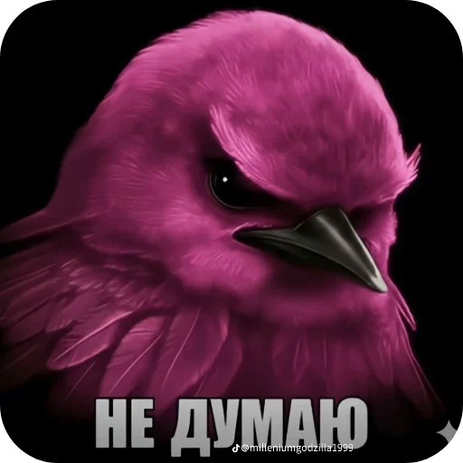 🐦 Стикер «птички (lerixxqwz)» для Telegram