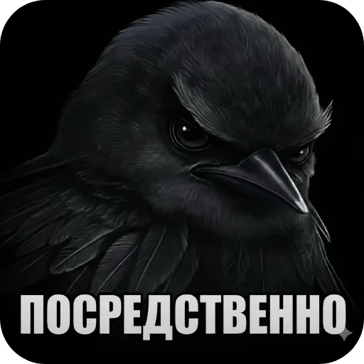 Стикерпак птички (lerixxqwz) для Telegram — скачать