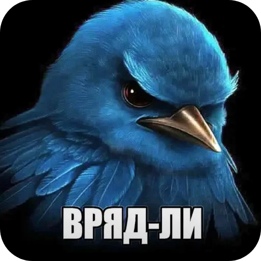 🐦 Стикер «птички (lerixxqwz)» для Telegram
