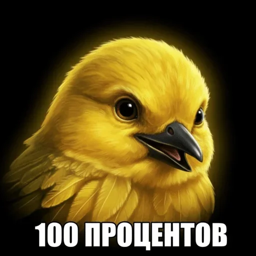 🌟 Стикер «птички (lerixxqwz)» для Telegram