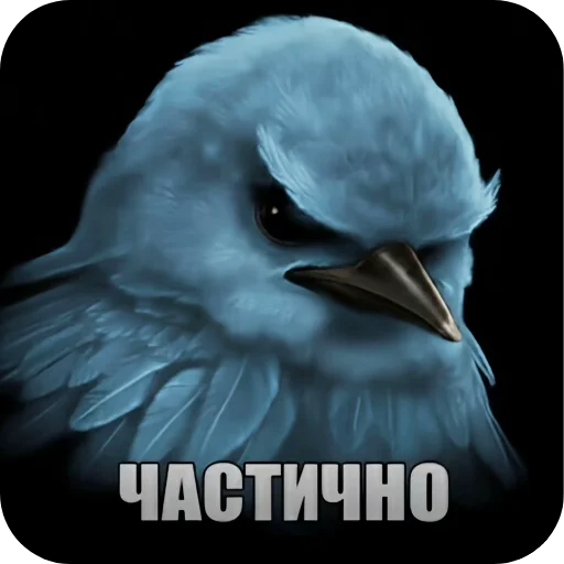 🐦 Стикер «птички (lerixxqwz)» для Telegram