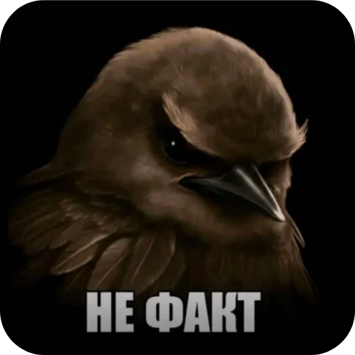 🐦 Стикер «птички (lerixxqwz)» для Telegram