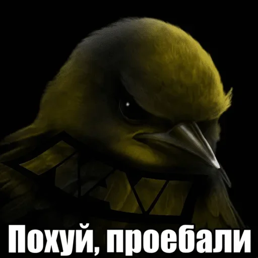 🌟 Стикер «птички (lerixxqwz)» для Telegram