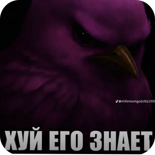 🖼 Стикер «птички (lerixxqwz)» для Telegram