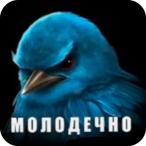 🐦 Стикер «птички (lerixxqwz)» для Telegram