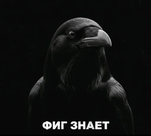 🌟 Стикер «птички (lerixxqwz)» для Telegram
