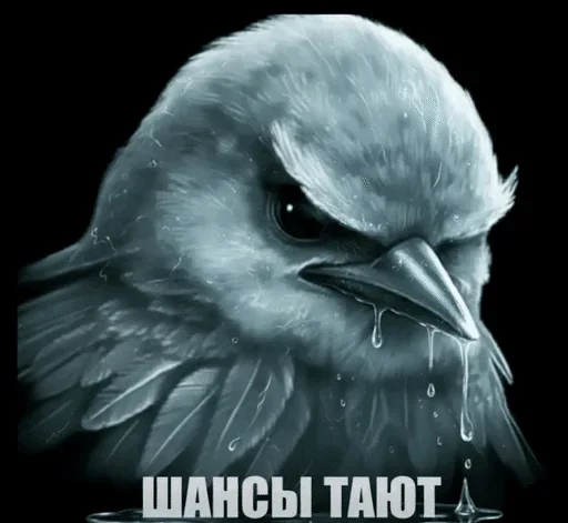 🌟 Стикер «птички (lerixxqwz)» для Telegram