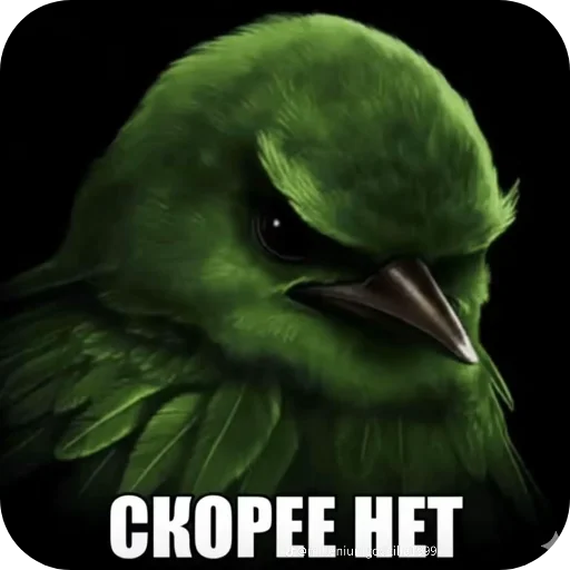 🐦 Стикер «птички (lerixxqwz)» для Telegram