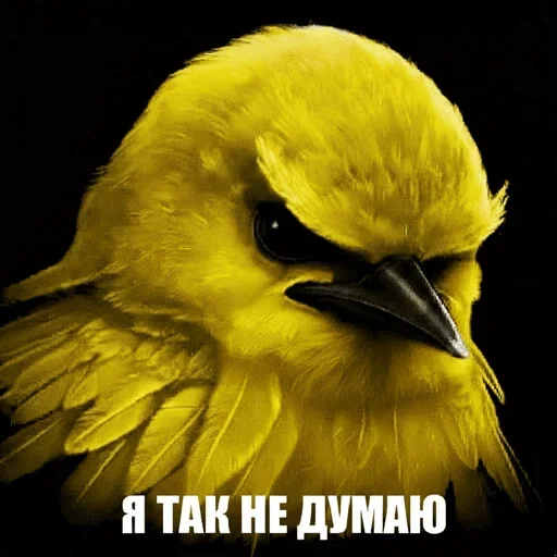 🌟 Стикер «птички (lerixxqwz)» для Telegram
