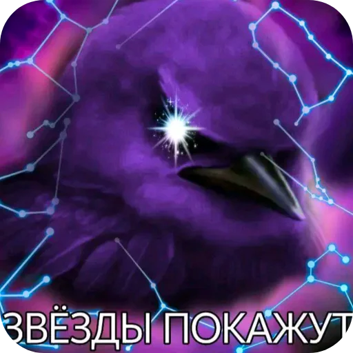 Стикерпак Птички для Telegram — скачать