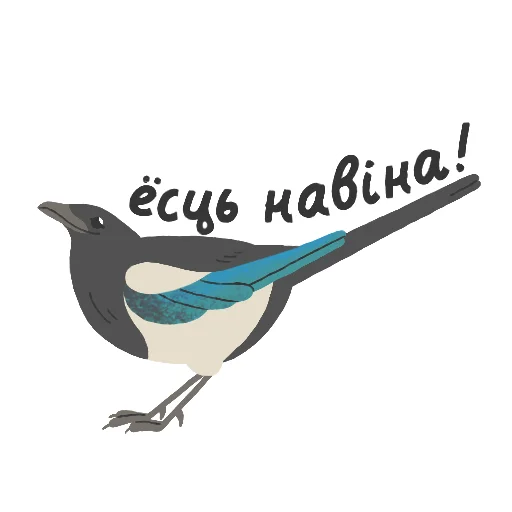 📰 Стикер «ptushki» для Telegram