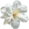 🌟 Эмодзи «Pueblo» для Telegram