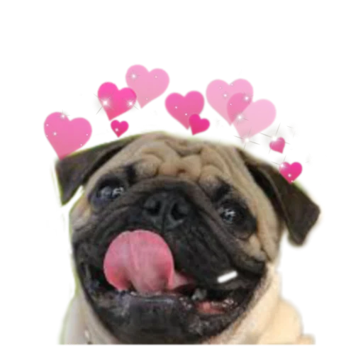 Стикерпак PUG для Telegram — скачать