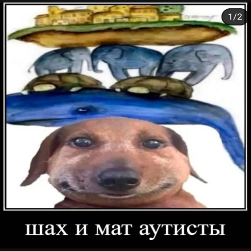 🃏 Стикер «pukikaki» для Telegram