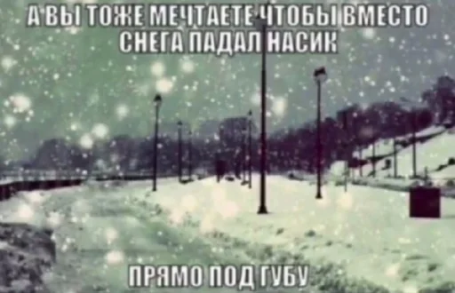 🌟 Стикер «машенькин фаворит пак» для Telegram