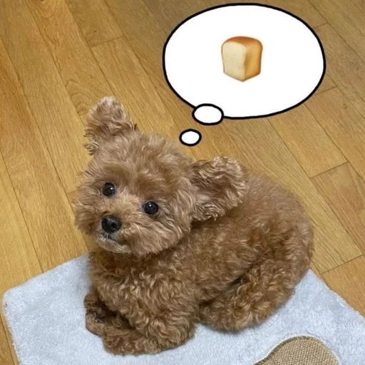🐶 Стикер «puppy dogs» для Telegram