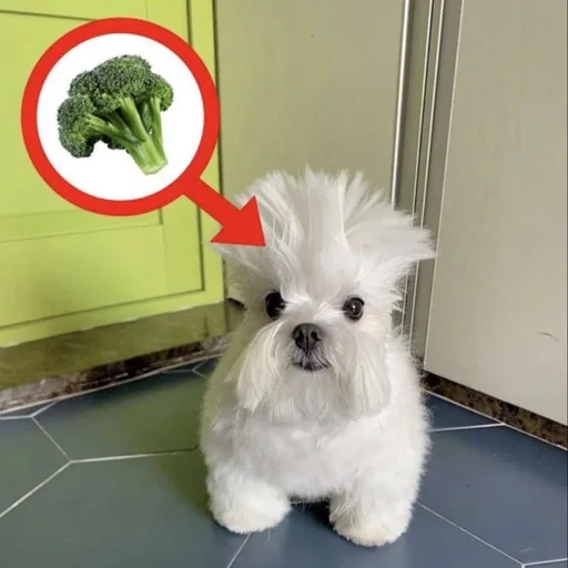 🐶 Стикер «puppy dogs» для Telegram