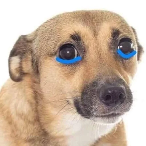 🐶 Стикер «puppy dogs» для Telegram