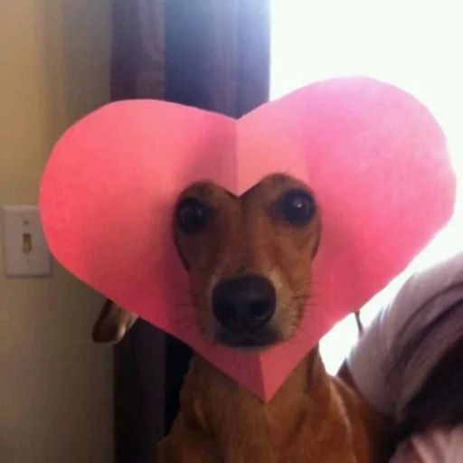 🐶 Стикер «puppy dogs» для Telegram