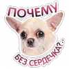 🥺 Эмодзи «😈 Набор эмоджи с Пёсиками из ВК» для Telegram