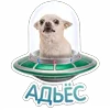 🛸 Эмодзи «😈 Набор эмоджи с Пёсиками из ВК» для Telegram