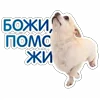🙏 Эмодзи «😈 Набор эмоджи с Пёсиками из ВК» для Telegram