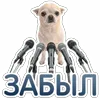 🎤 Эмодзи «😈 Набор эмоджи с Пёсиками из ВК» для Telegram