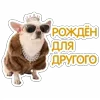 😎 Эмодзи «😈 Набор эмоджи с Пёсиками из ВК» для Telegram
