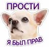 🙂 Эмодзи «😈 Набор эмоджи с Пёсиками из ВК» для Telegram