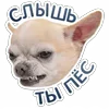 😡 Эмодзи «😈 Набор эмоджи с Пёсиками из ВК» для Telegram