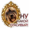 🪞 Эмодзи «😈 Набор эмоджи с Пёсиками из ВК» для Telegram