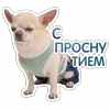 🥱 Эмодзи «😈 Набор эмоджи с Пёсиками из ВК» для Telegram
