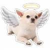 👼 Эмодзи «😈 Набор эмоджи с Пёсиками из ВК» для Telegram