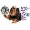 🥵 Эмодзи «😈 Набор эмоджи с Пёсиками из ВК» для Telegram
