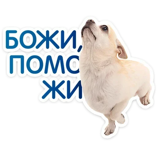 🙏 Стикер «Песики» для Telegram