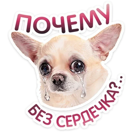 🥺 Стикер «Песики» для Telegram