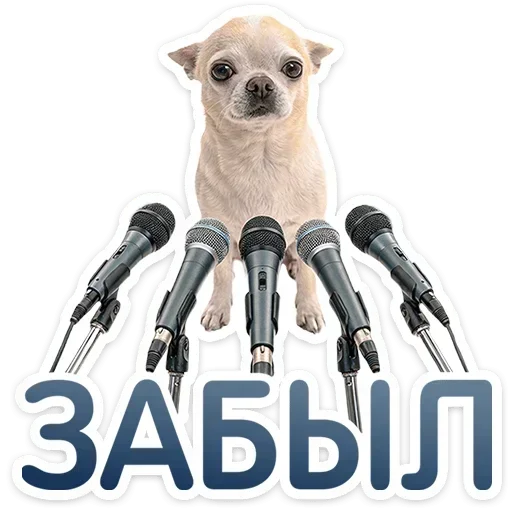 🎤 Стикер «Песики» для Telegram