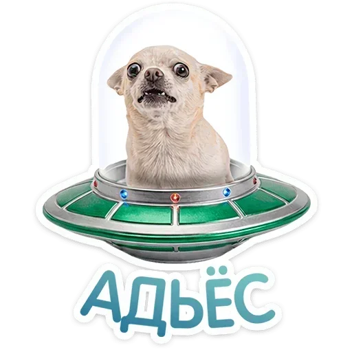 🛸 Стикер «Песики» для Telegram