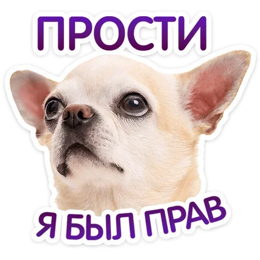 🙂 Стикер «Песики» для Telegram