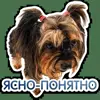 😤 Эмодзи «кoтяткu» для Telegram