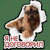 🙂 Эмодзи «кoтяткu» для Telegram