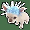 🧠 Эмодзи «кoтяткu» для Telegram